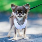 Florence Curtis - @julierobinson8454 - Instagram