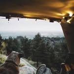 Florence Curtis - @fredrobinson_269094 - Instagram