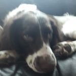 Willow Florence Cutts - @willow_cutts - Instagram