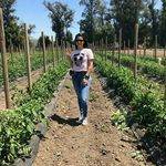 Florence Daniels - @florencedaniels9792 - Instagram
