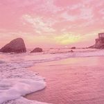 Florence Day - @florenceday008 - Instagram