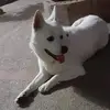 Dean Florence - @dean.florence7 - TikTok