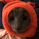 Florence Demers - @lyra201007 - Instagram