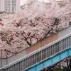 dennyflorence - @dennyflorence - TikTok