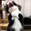 Florence Dill - @florencedill_1365 - TikTok