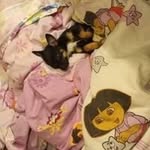 Florence Dion - @florence67384 - Instagram