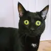 florencedion63 - @florencedion63 - TikTok