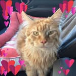 Florence Doe - @stitch27710 - Instagram