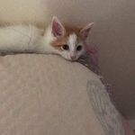 Florence_H_Doherty - @florence_h_doherty - Instagram