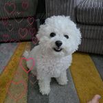 Florence Dolan - @florence.dolan.5 - Instagram