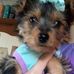 Florence Doran - Facebook