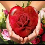 florencedoucet - @florencedoucet20653 - Instagram