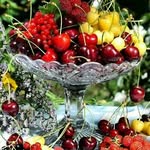 Florence Dow - @florence.dow - Instagram
