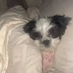 Florence Downey - @florencedowney582 - Instagram