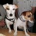 Florence Draperi - Facebook