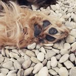 Florence Dufour - @dufour7639 - Instagram