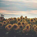 flor - @florence_duran - Instagram