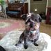 Florence Dutton - Facebook