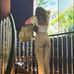 Florence Dutton - Facebook