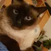 florenceguebert - @florenceguebert - TikTok