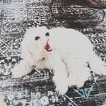 Eden - @florence_eden6 - Instagram