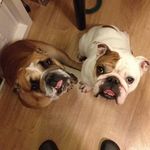 @edgar_n_florence - Instagram