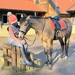 Florence Edwards 🇬🇧 - @finchingfield_florence_equi - Instagram