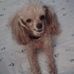 Florence Ellison - Facebook