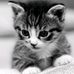 Florence Ellison - Facebook