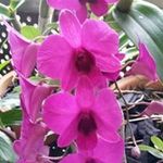 Florence Eng - @engflorence - Instagram