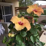 Florence Erdmann - @florence_erdmann - Instagram