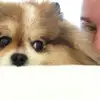 Florence Escobar - @foysta33 - TikTok