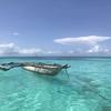 Florence Fabry - @florence.fabry - TikTok