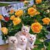 Florence Farley - Facebook