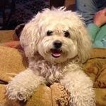 Florence Feldman - @flakala64 - Instagram