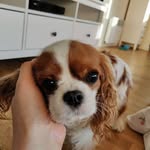 Florence.Ferguson - @florence.ferguson133 - Instagram