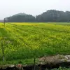 Florence Field775 - @user4165365730206 - TikTok
