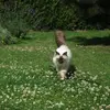 Florence Foreau - @florence.foreau - TikTok