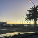 Florence Forster - @florenceforster3737 - Instagram