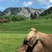 Flo Freund - Facebook
