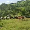 Florence Friday - @florence.friday76 - TikTok