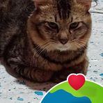 Florence Fuentes - Facebook