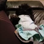 Florence Gaffney - Facebook