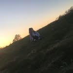 Florence Gardner - @florencegardner10 - Instagram