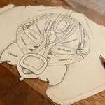 Florence Gardner - @this_physio_doodles - Instagram
