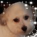 Florence Gardner - Facebook