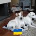 Florence Castan - Facebook