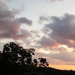 Florence Gavini - @florencegavini - Instagram