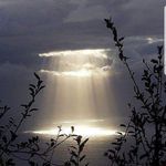 Florence Gilbert - @flomeam2010_ - Instagram