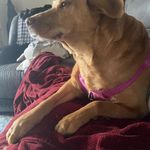 Florence Gilbert - @gevat47181 - Instagram